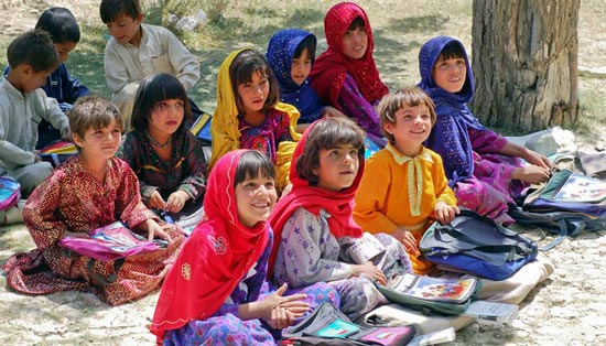 服务器攻击软件